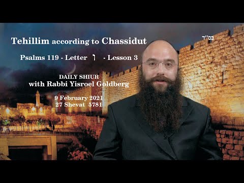 TEHILLIM according to CHASSIDUT - Tehillim 119 Letter ו - Lesson 3
