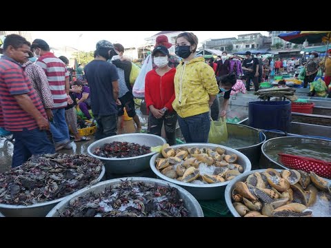 Morning Fish Market at Phsa Chhbar Ampov - Walking Around Fish Market @Chhbar Ampov Market