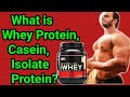 What is Whey Protien || What is Isolate Protien || What is Casein