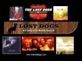The Lost Dogs - Built for Glory, Made to Last 