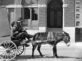 CharlieChaplin BestComedyScenesCompilation