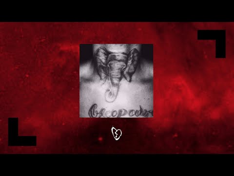 XXXTENTACION - Elephant In The Room (Better Quality)