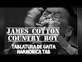🎶 Country Boy - James Cotton (Full Harmonica Tab - Tablatura de Gaita completa)