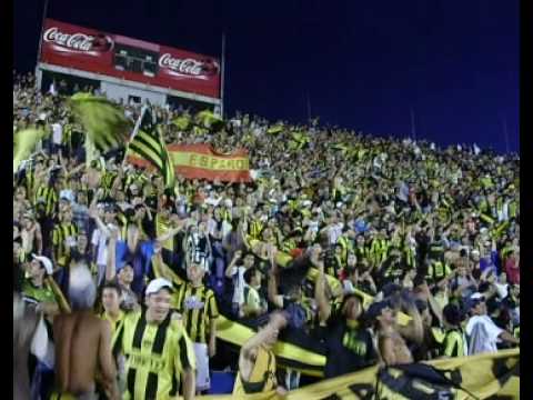 "Es para vos gallina" Barra: Barra Amsterdam &bull; Club: Peñarol