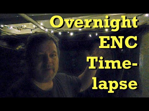 African nightcrawlers overnight view thru clear plastic cover (w time lapse) - vermicomposting