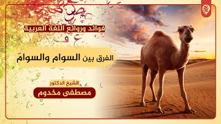 الفرق بين السوام والسوامّ | فوائد وروائع اللغة العربية | د. مصطفى مخدوم image