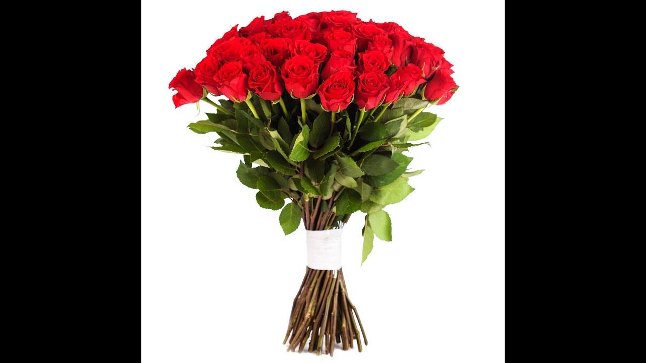 Red roses bouquet | Red Roses | Order roses online | Arabella Bouquet
