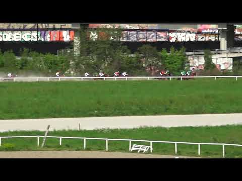 1.5.2022 IV Trka - PAVLE KOTHAJ - Hipodrom Beograd