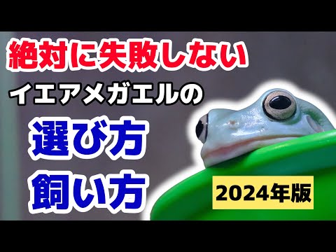 アテロプスについて詳しく解説