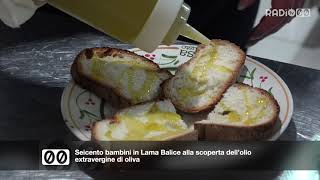 Seicento bambini in Lama Balice alla scoperta dell’olio extravergine di oliva