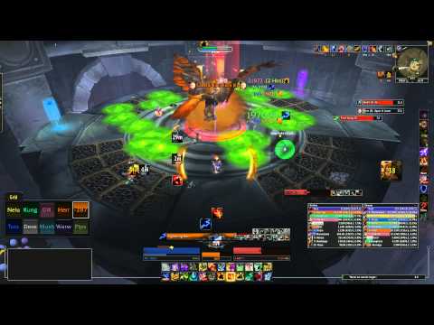Ji-Kun 10 man heroic - Elemental Shaman POV