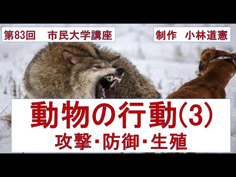 地域科学課程 動物の行動（3）－攻撃・防御・生殖