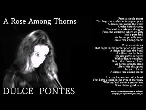 A Rose Among Thorns - Dulce Pontes