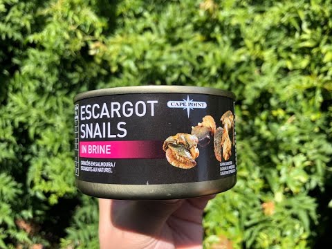 Canned Cuisine - Escargot + Recipe