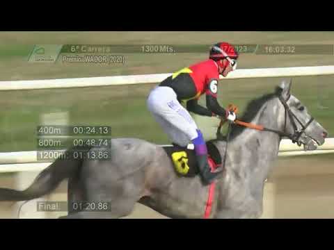 230714 C06 - VILLARRICA - HIPODROMO LAS PIEDRAS
