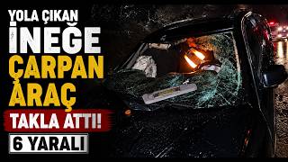  Yola Çıkan İneğe Çarpan Araç Takla Attı 6 Yaralı