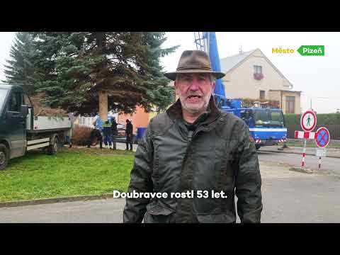 Náhled pro video reference