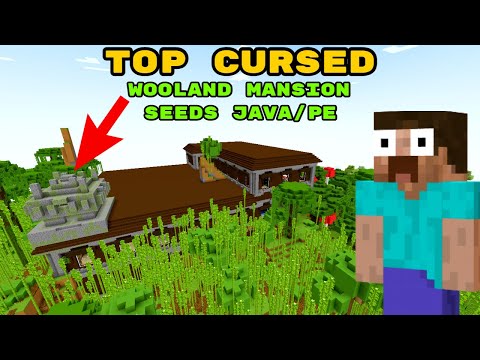 Top 1.18 Woodland Mansion & Cursed Minecraft Seeds