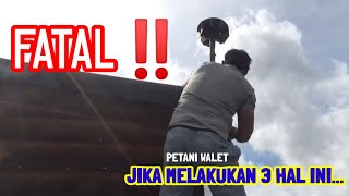 Download lagu It is WRONG assumption that Indonesian Swallow farmers do this | Success Swallow Building mp3 Download lagu It is WRONG assumption that Indonesian Swallow farmers do this | Success Swallow Building mp3