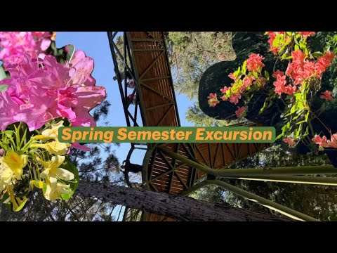 University of Sopron Spring Excursion: Jeli Arboretum & Sárvár
