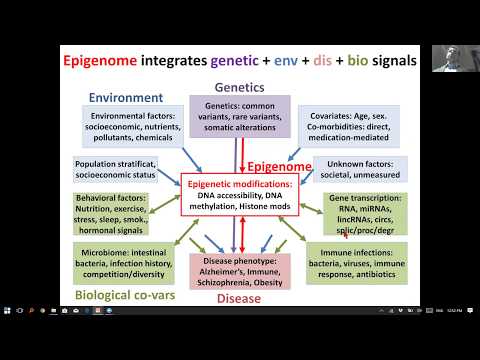 Manolis Kellis on Dissecting Disease Circuitry at Single-Cell Resolution