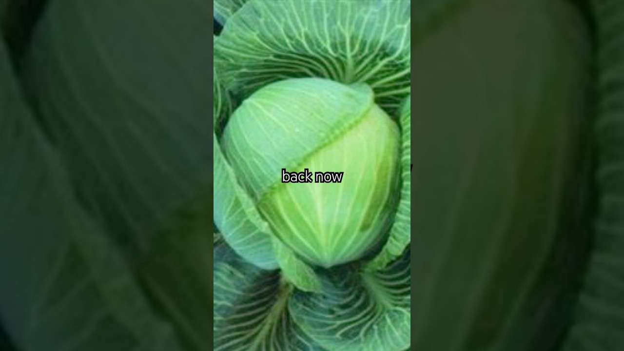 Love & Hate - Geno Samuel #80smusic #synthwave #indiepop