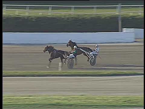 Trotto 22/04/2018 - prova di qualifica