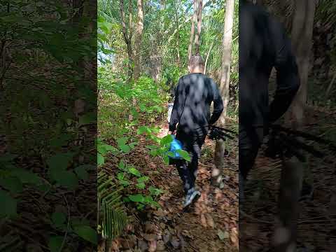 Aruanã #roçalife #interiordegoias #nature #caminhoparaumavidamelhor #roça #goiás #natureza