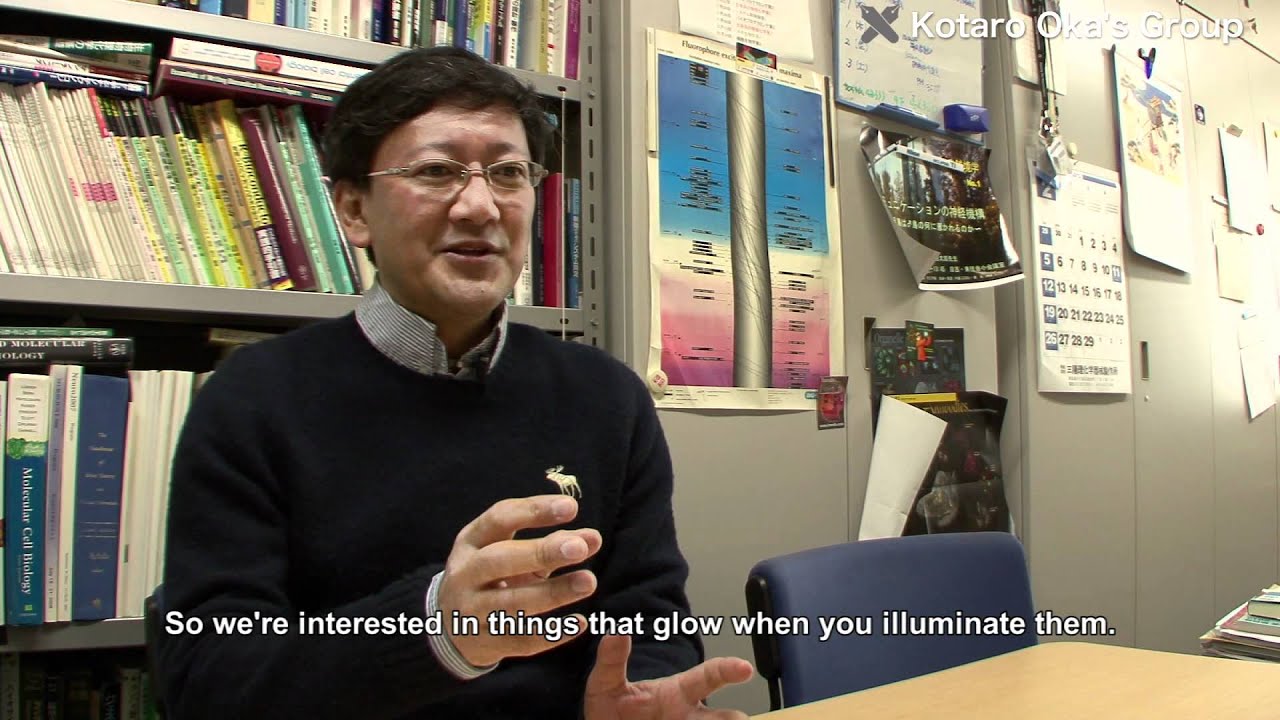 Understanding temporal and spatial changes in complex biological phenomena through imaging methods