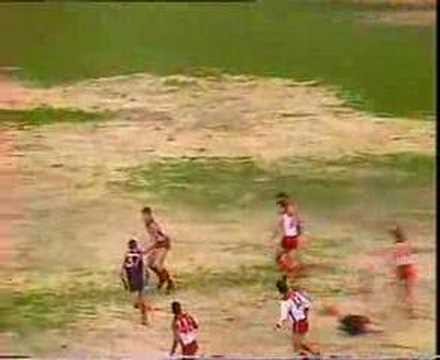 VFL Football R20 1989 - Melbourne v Sydney