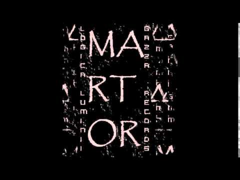 Vali Martor - Logica Luminii  2011