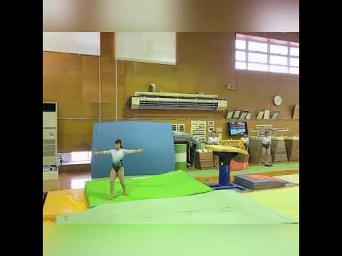 日本女子体育大学　体操競技部