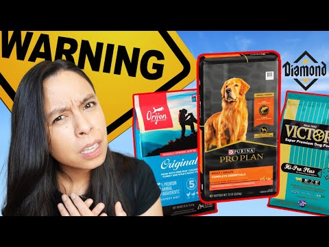 The 4 TOP Dog Foods to AVOID?! 😳 Purina, Orijen,...