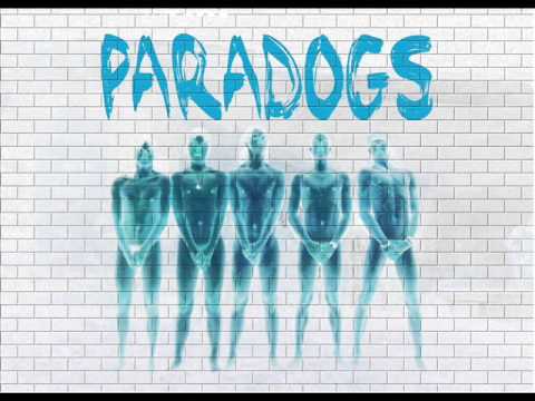Paradogs - Bomba