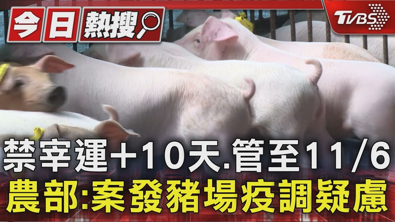 豬隻禁宰運令再延10天!疫調遇「死豬數量不符」難追源