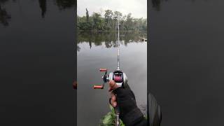 Download lagu Reel BC 100k Emang bisa longcast?? mp3