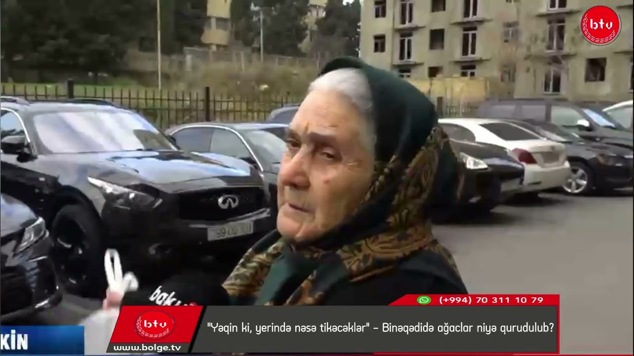 "Yəqin ki, yerində nəsə tikəcəklər" - Binəqədidə ağaclar niyə qurudulub?