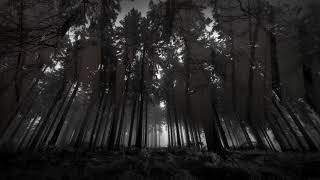 The Sad Song Of The Wind - Empyrium