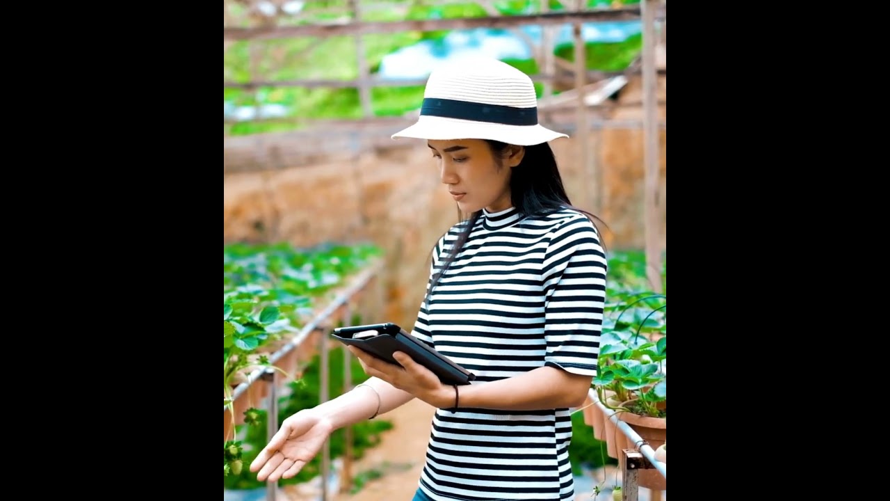 BONbLOC - ONELIGN - EDGEDATA