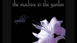 The Machine in the Garden - Photographic