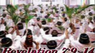 Power In The Blood - The Grace Thrillers