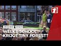 Welke scholen krijgen een Tiny Forest?