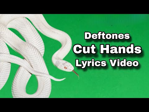 Deftones - Cut Hands (Lyrics Video)