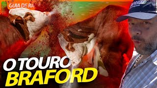Miniatura do vídeo
