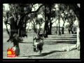 THAYILLA PILLAI Vama Vama Chinnamma Egopal