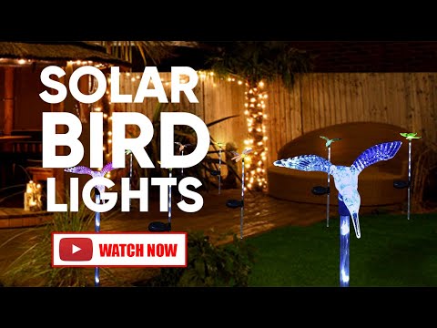 6 Stake LED Solar Decorative  Sensor Light