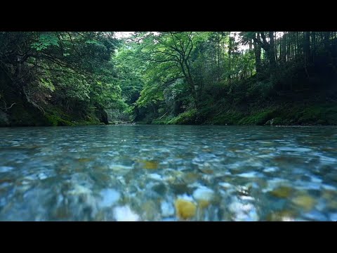 10 Hrs of Gently Flowing River Sounds - No Birds or Music
