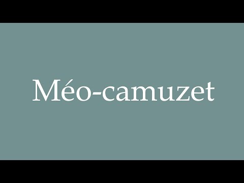 How to Pronounce ''Méo-camuzet'' Correctly in French