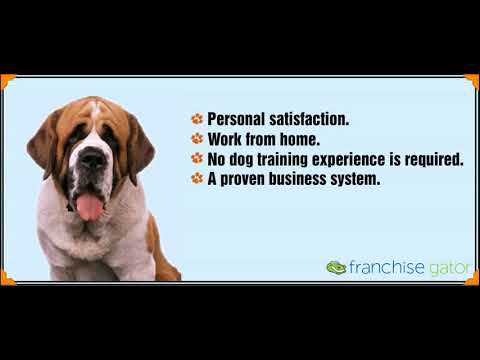 Canine Dimensions In-home Dog Training