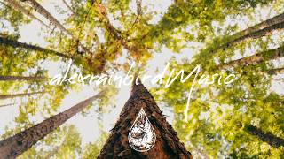 Driftwood Choir - Tall Pines